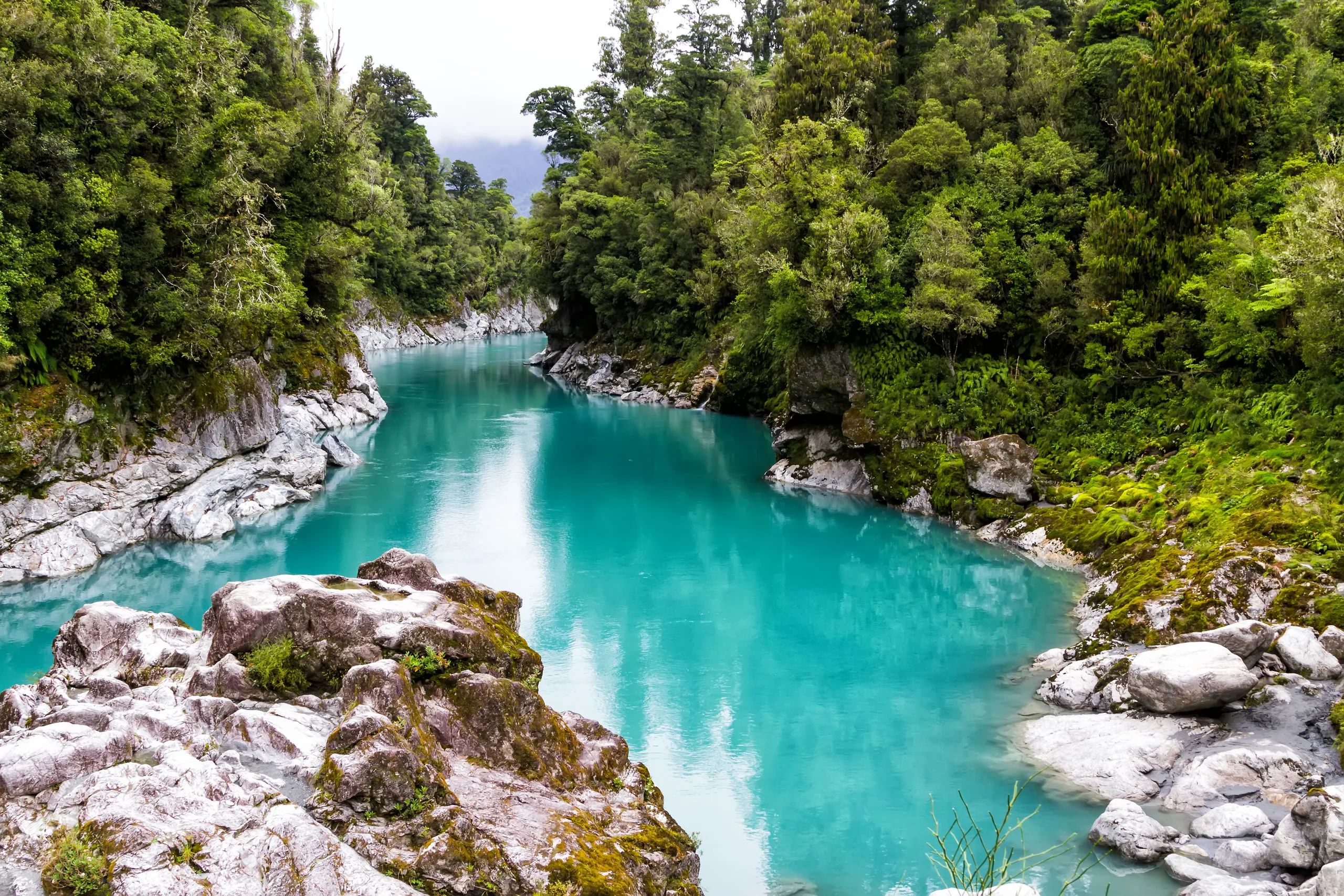 Steam rising off the Glacier Hot Pools in Franz Josef village surrounded by native rainforest
