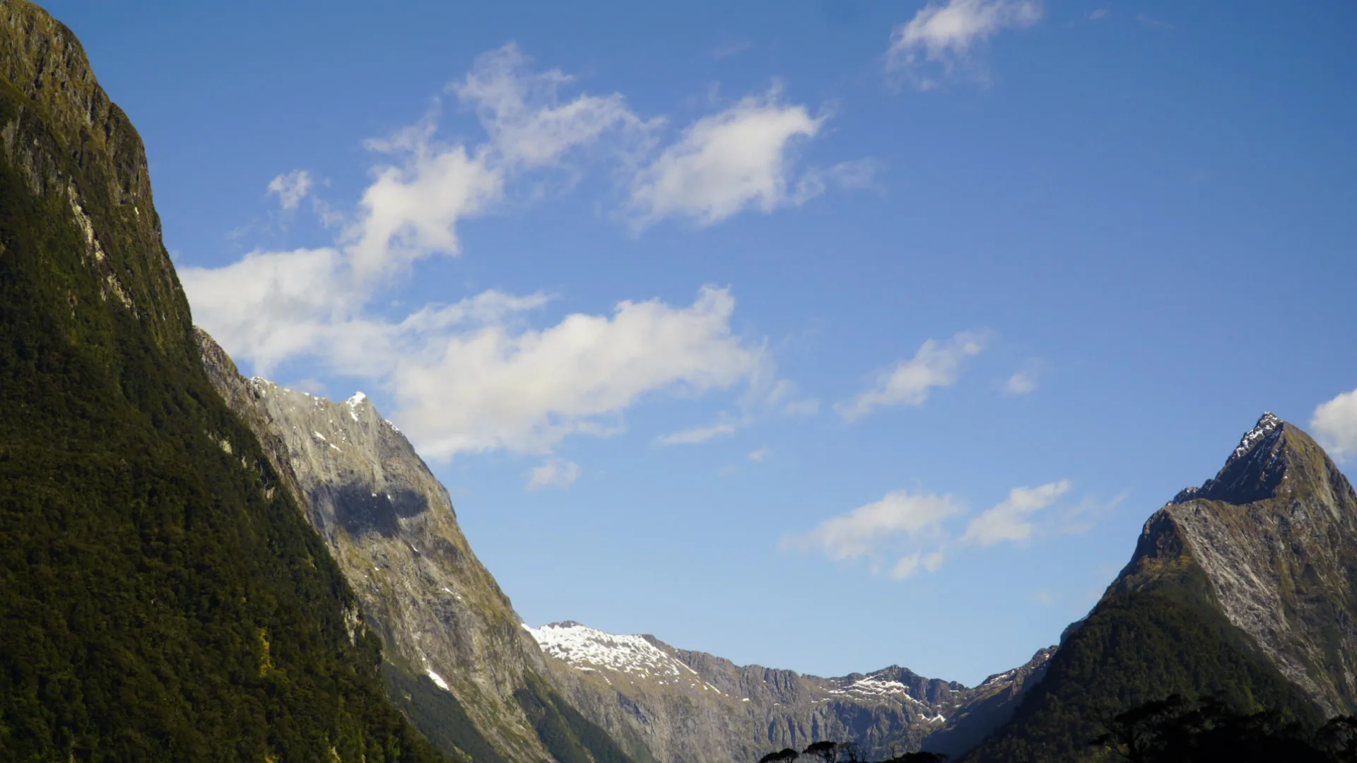Low mist hanging in a side arm of Doubtful Sound with no other boats visible