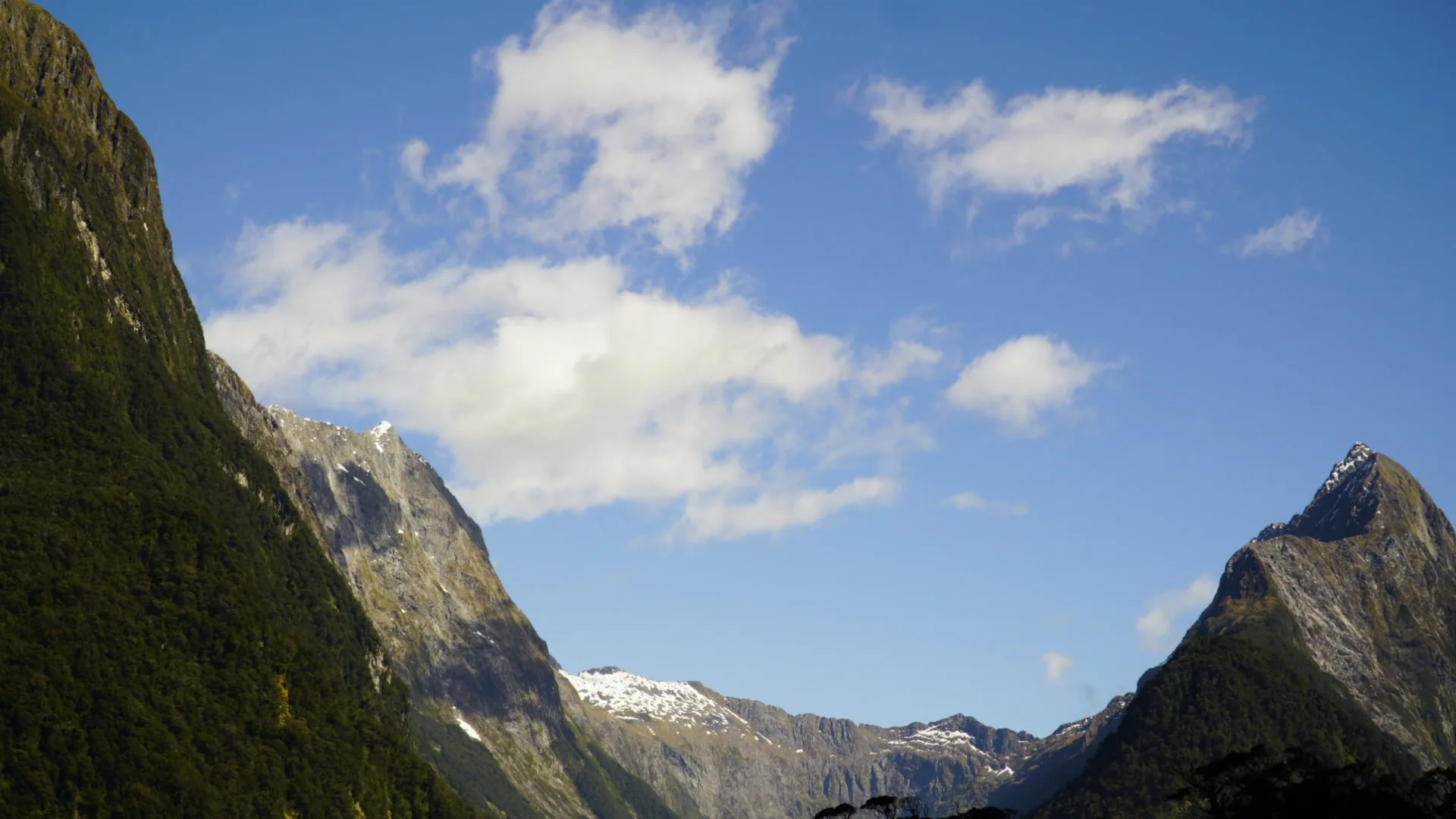 A small cruise boat dwarfed by the cliffs of Milford Sound