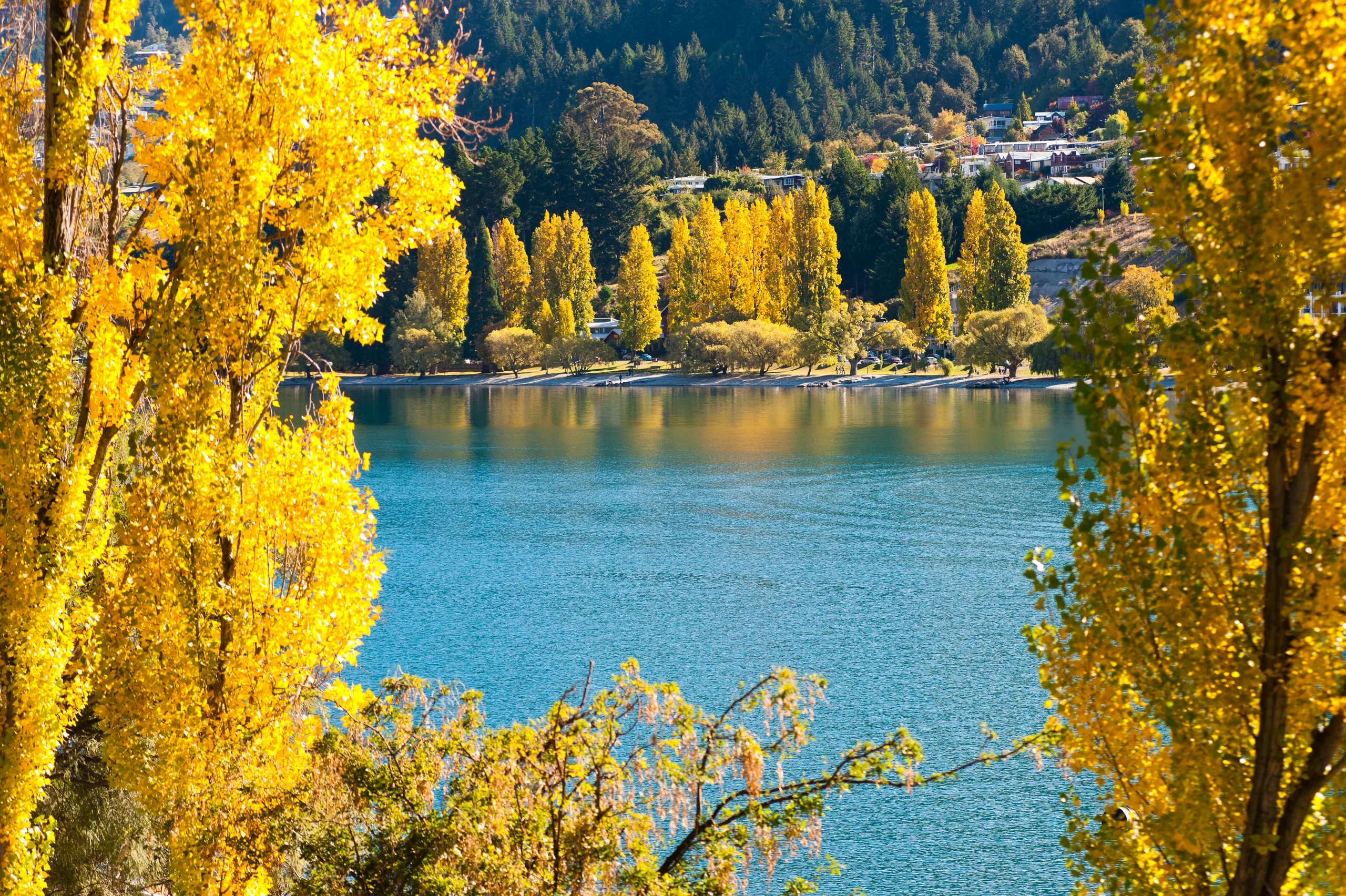 Lake Wakatipu in autumn with golden foliage on the foreshore — peak shoulder-season Otago