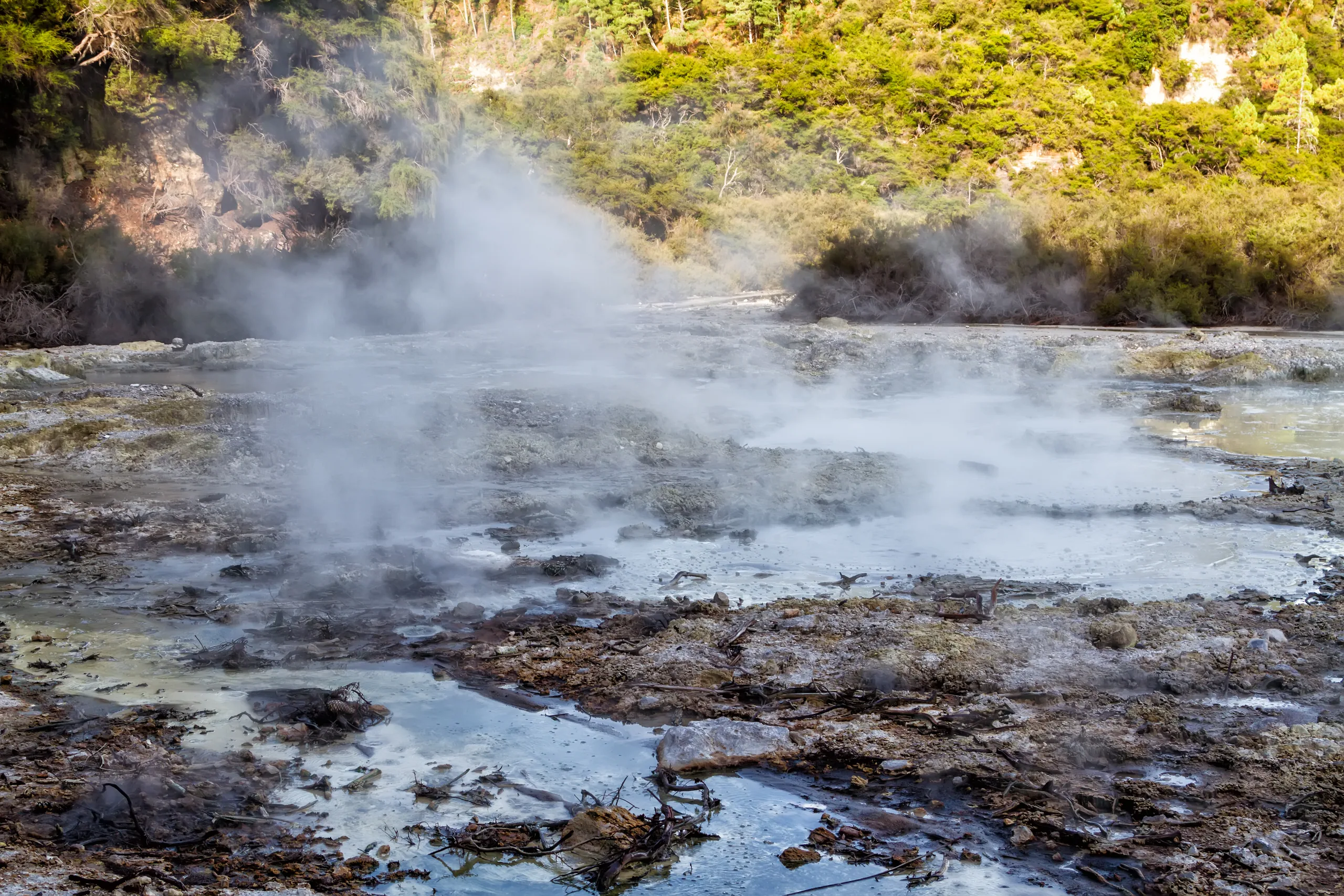 The brilliant orange edge of the Champagne Pool at Wai-O-Tapu with steam rising