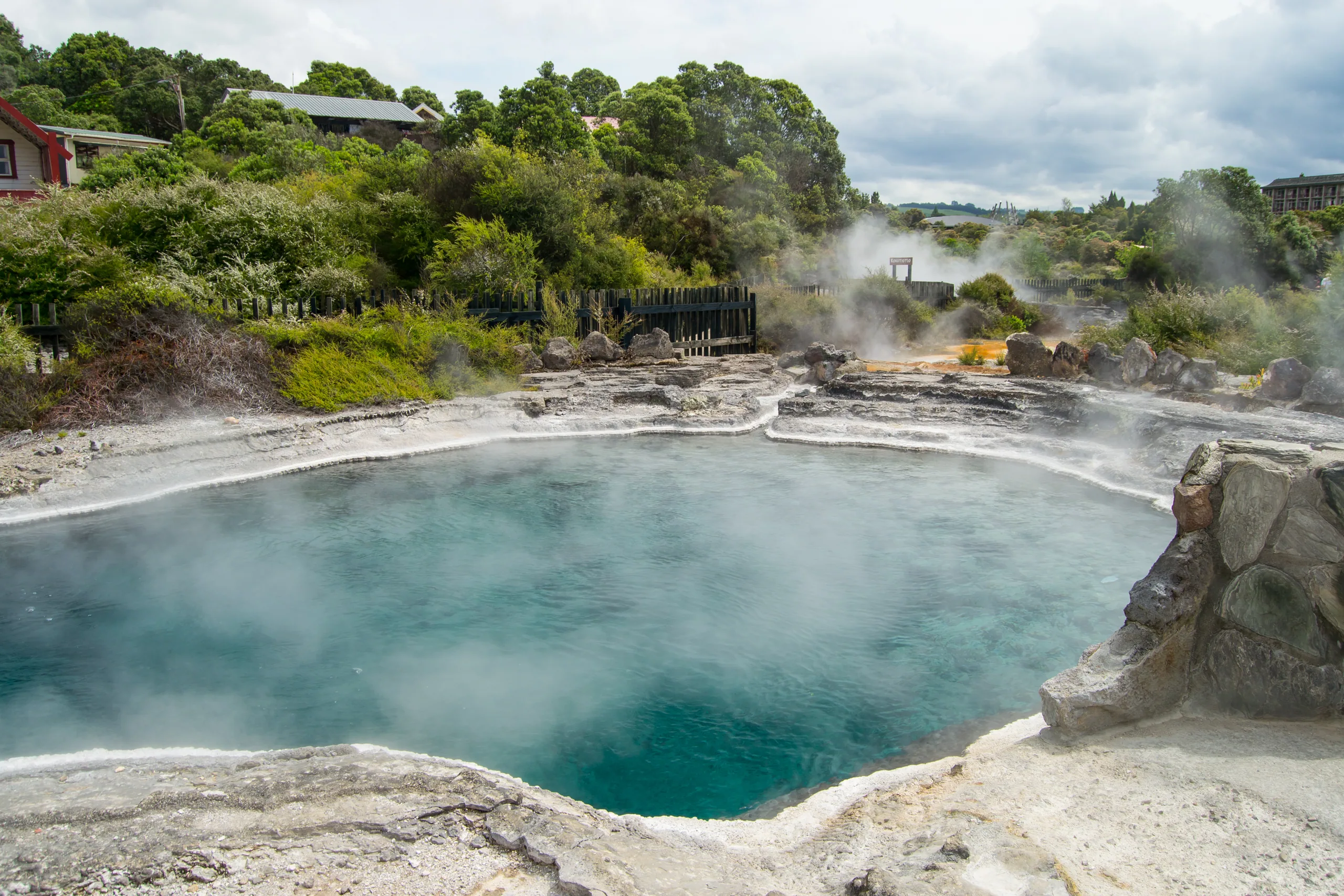 Te Puia geyser erupting in Rotorua with steam drifting across the geothermal landscape