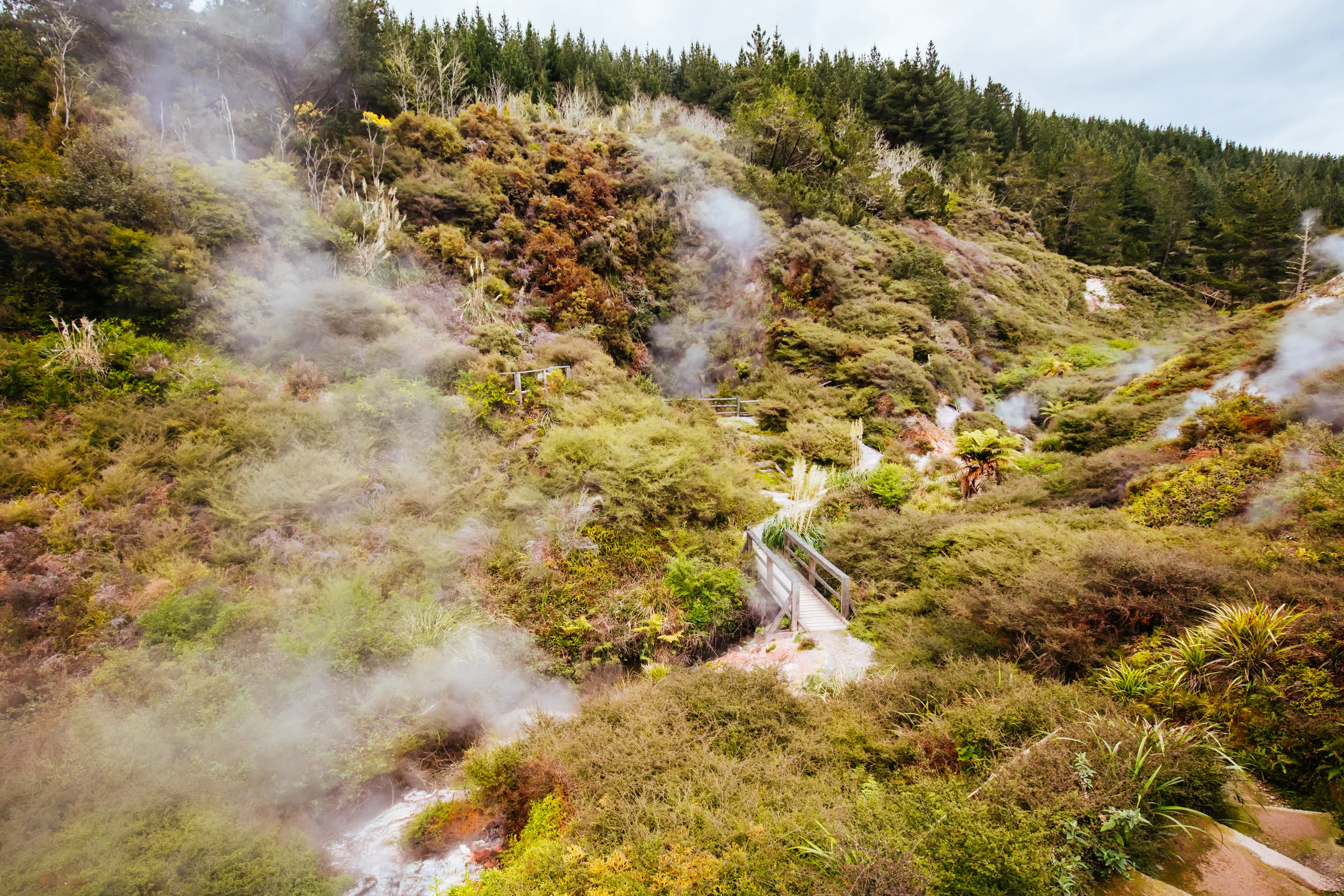 The volcanic geothermal landscape at Wairakei north of Lake Taupō, with steam rising across the valley