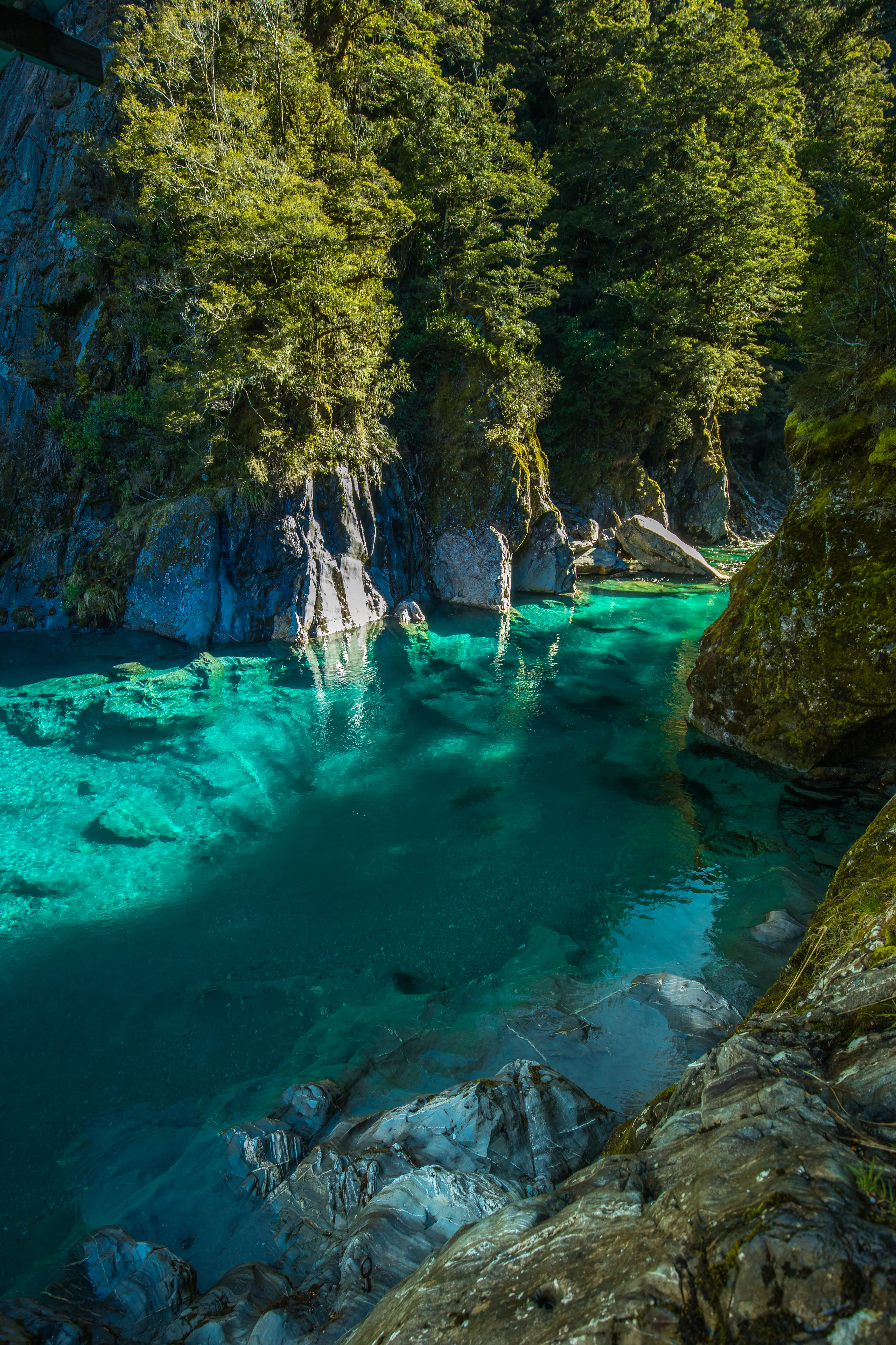 The Rob Roy Glacier hanging from cliffs above a beech forest hanging valley with waterfalls