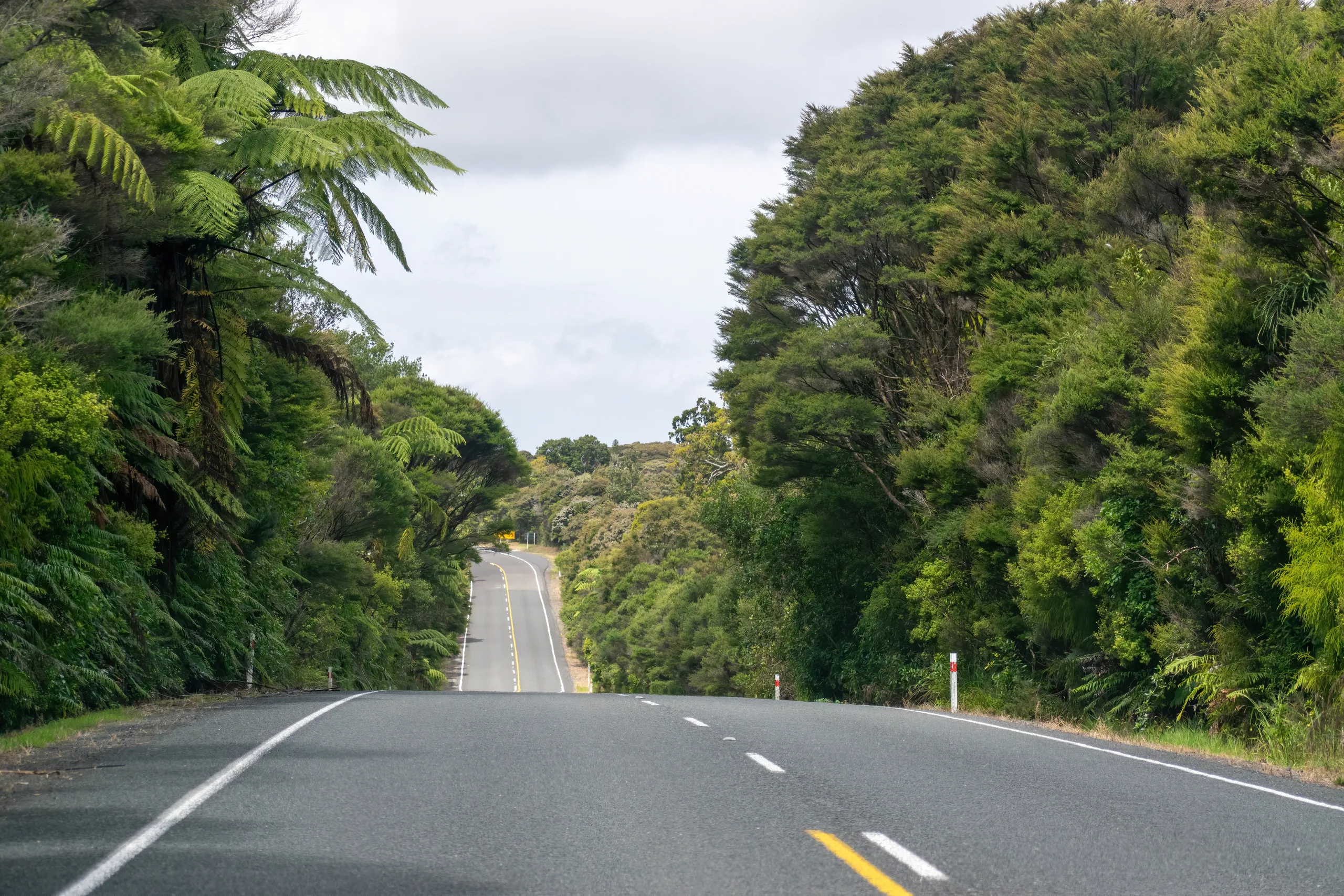 A single-lane bridge over a clear river on the West Coast surrounded by native bush