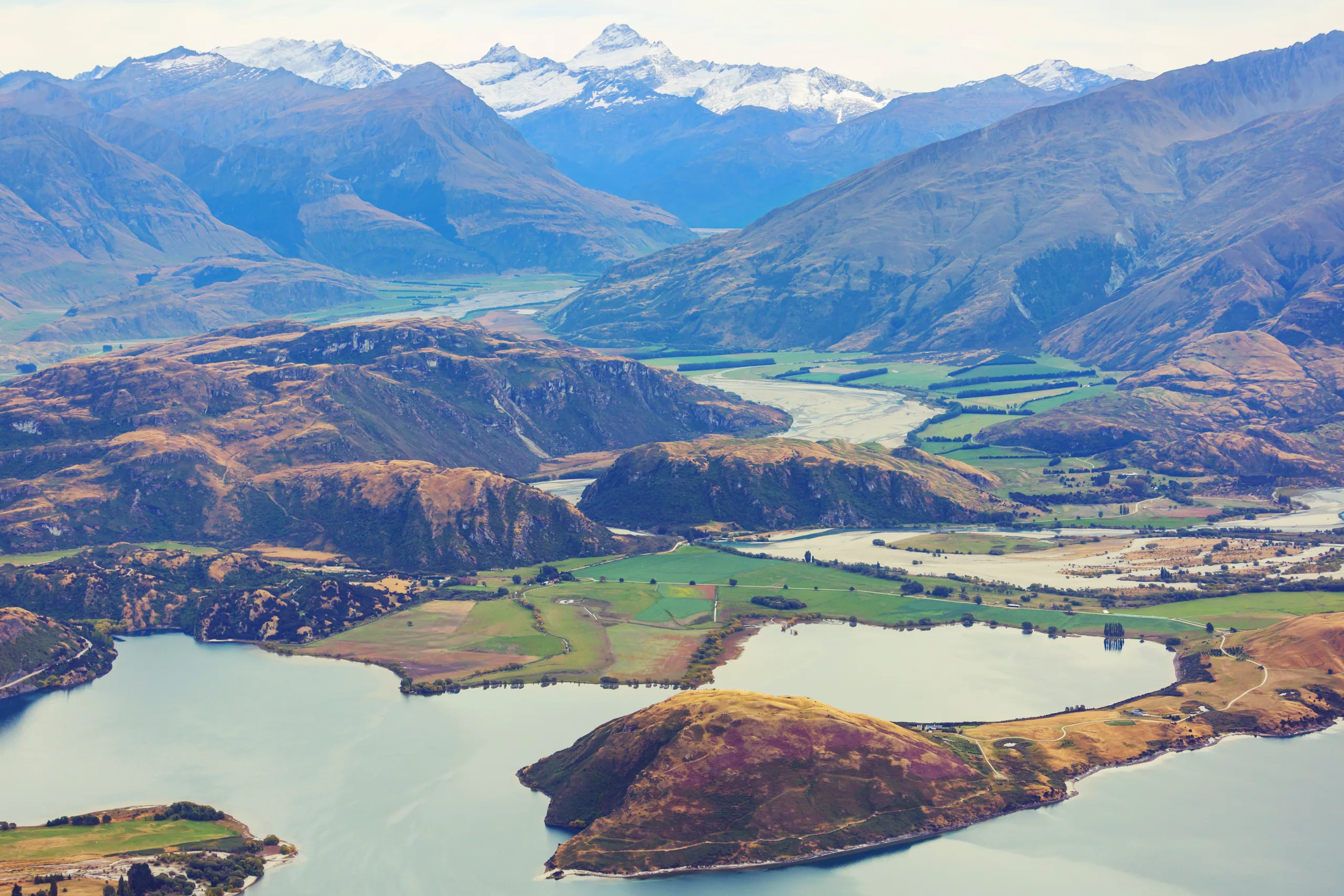 Spring lambs in a green paddock with the Southern Alps still capped in snow